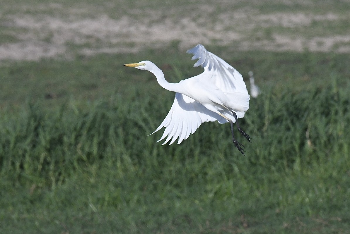 On floodplain