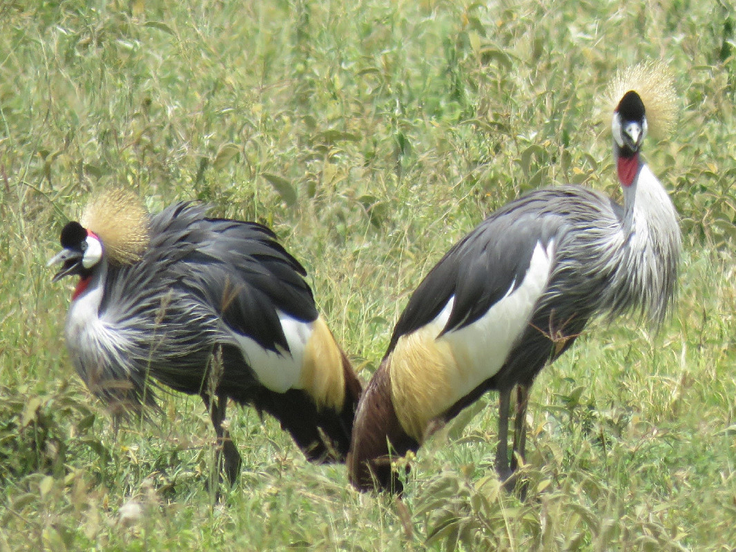 I'm done arguing with you 