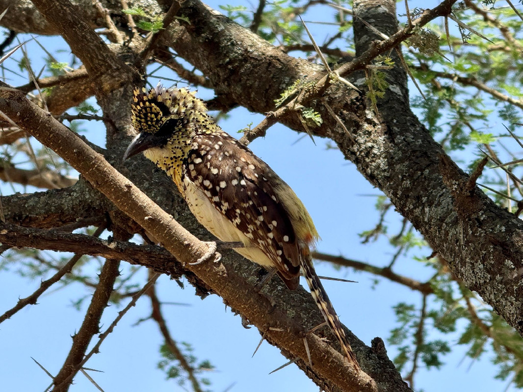 I do blend in quite nicely 