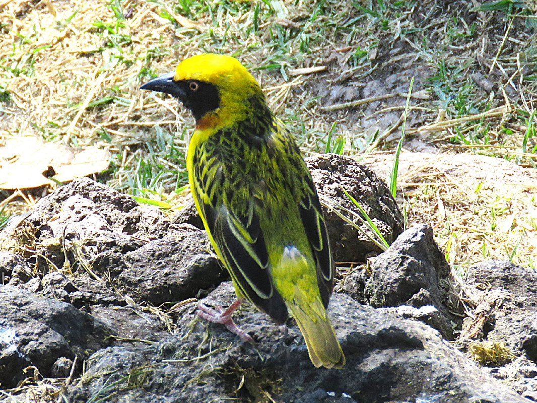 just needed to come down to get something 