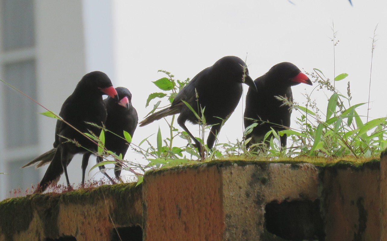 Feeding time