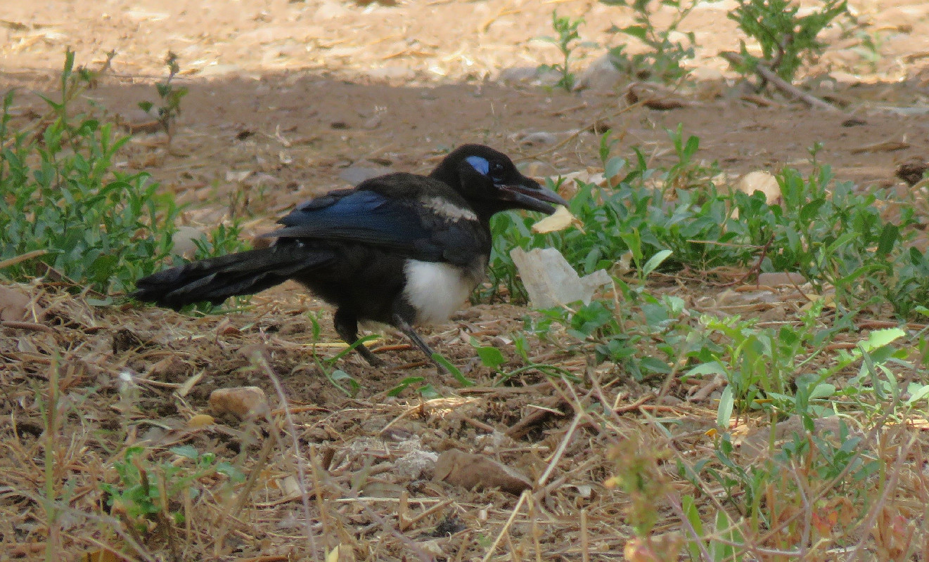 feeding time